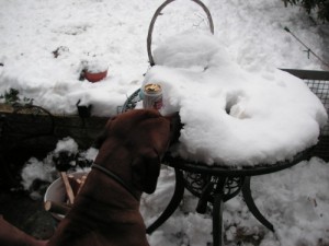 Louis enjoying a snow cone